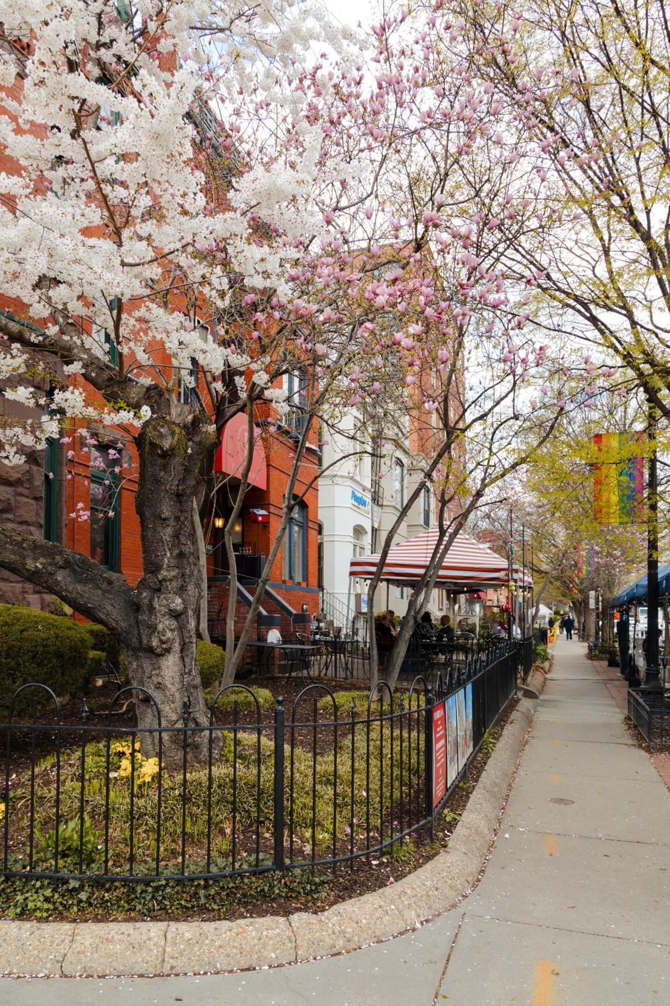 Dupont Circle Embassy Inn By Found Washington Exterior foto
